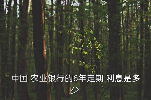 農業銀行存6年利息,現在農業銀行存定期利息多少