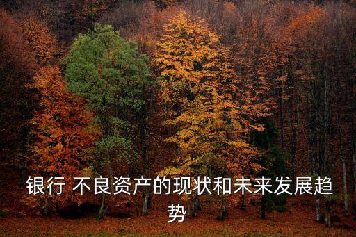  銀行 不良資產(chǎn)的現(xiàn)狀和未來發(fā)展趨勢(shì)