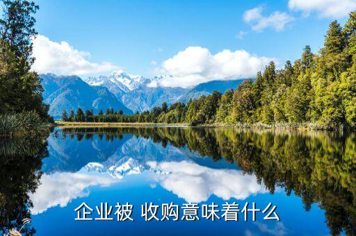 被收購的公司應該怎樣發展