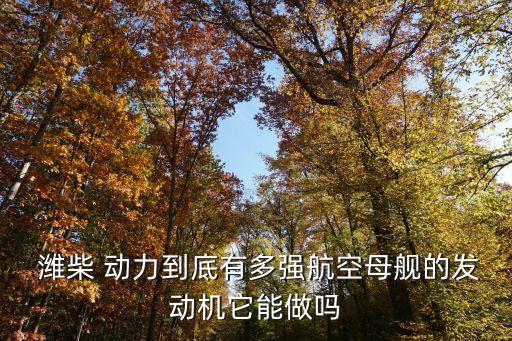  濰柴 動力到底有多強航空母艦的發動機它能做嗎