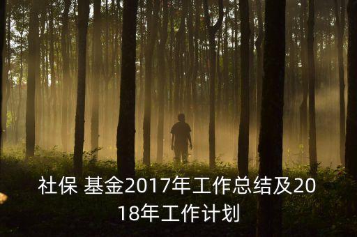 社保 基金2017年工作總結及2018年工作計劃