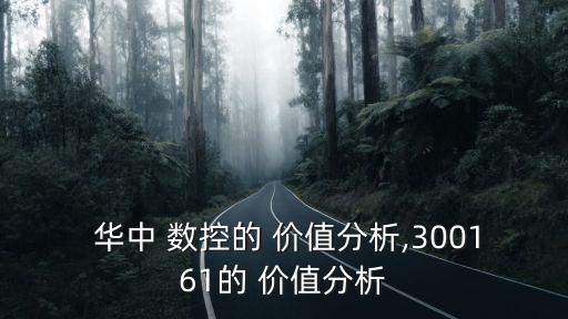  華中 數控的 價值分析,300161的 價值分析