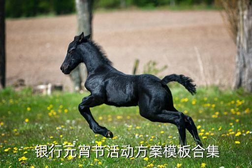  銀行元宵節活動方案模板合集