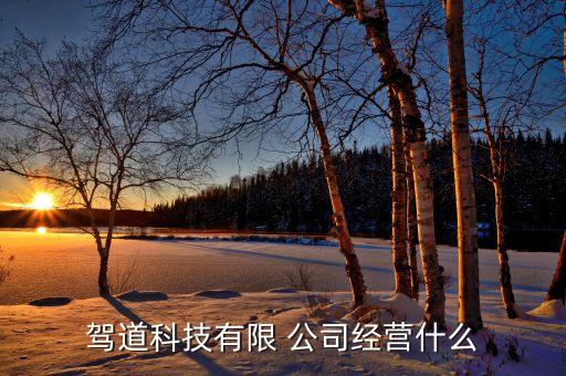 駕道科技有限 公司經營什么