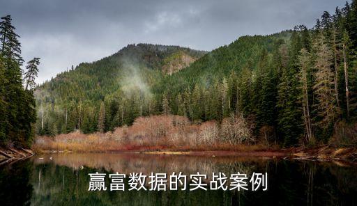 贏富數據的實戰案例