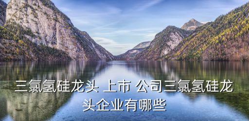 三氯氫硅龍頭 上市 公司三氯氫硅龍頭企業有哪些