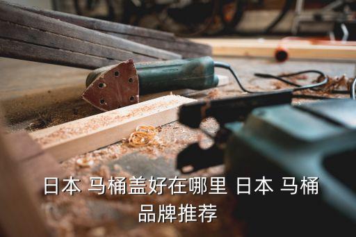 中國(guó)買(mǎi)日本馬桶蓋,買(mǎi)日本馬桶蓋要注意什么