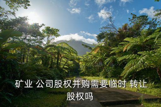  礦業 公司股權并購需要臨時 轉讓股權嗎