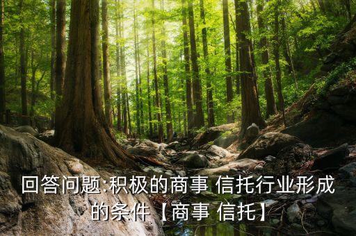 回答問題:積極的商事 信托行業形成的條件【商事 信托】
