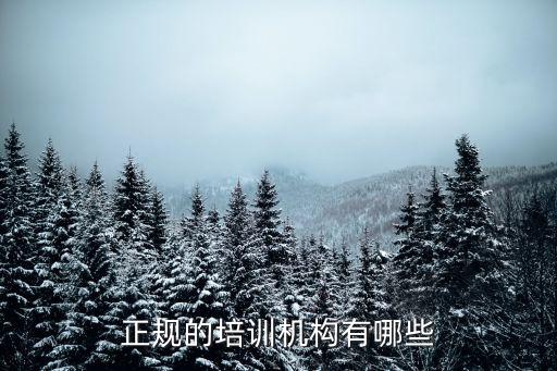 正規的培訓機構有哪些