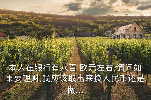 本人在銀行有八百 歐元左右,請問如果要理財,我應該取出來換人民幣還是做...