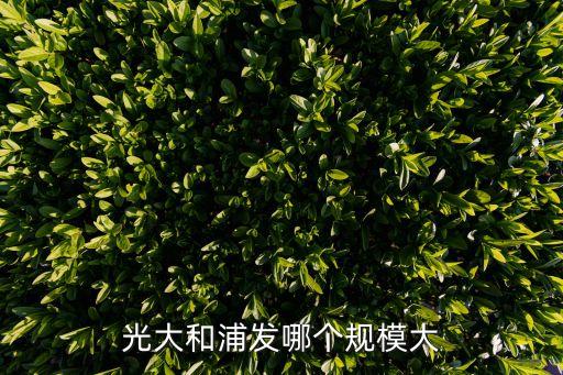 浦發銀行資金實力
