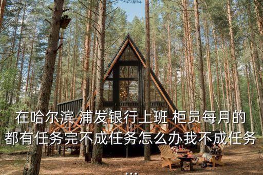 在哈爾濱 浦發銀行上班 柜員每月的都有任務完不成任務怎么辦我不成任務...