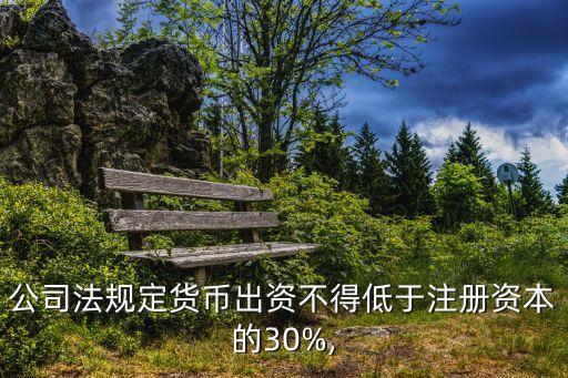 公司法規定貨幣出資不得低于注冊資本的30%,