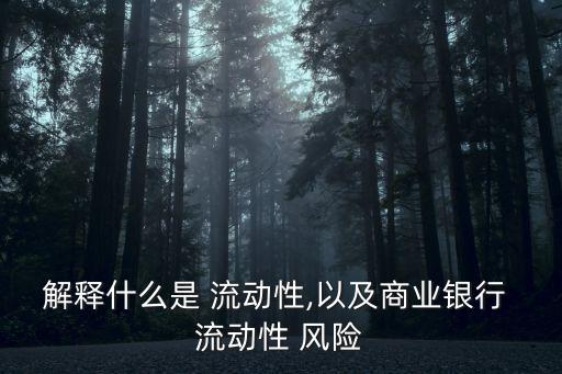 解釋什么是 流動性,以及商業銀行 流動性 風險