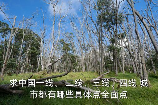 求中國一線、 二線、三線、四線 城市都有哪些具體點全面點