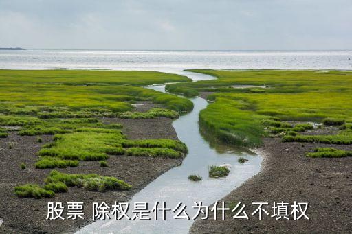  股票 除權是什么為什么不填權