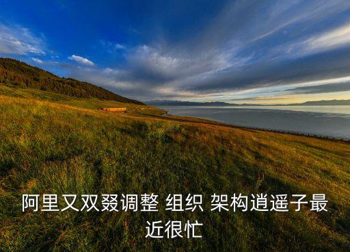 阿里巴巴集團的組織架構