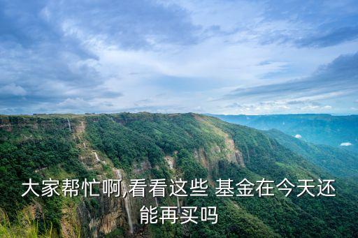 大家幫忙啊,看看這些 基金在今天還能再買嗎