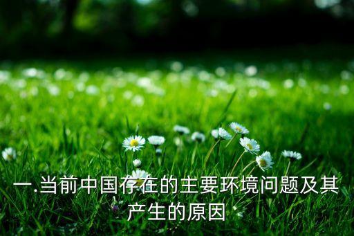 一.當前中國存在的主要環境問題及其產生的原因