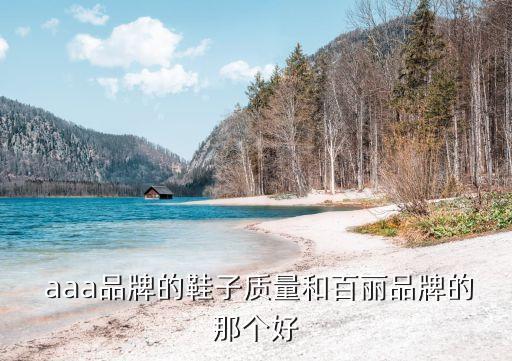  aaa品牌的鞋子質量和百麗品牌的那個好
