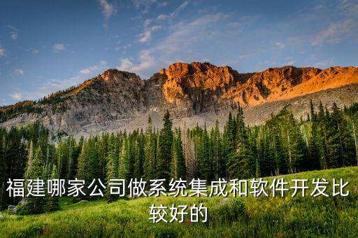 福建哪家公司做系統集成和軟件開發比較好的