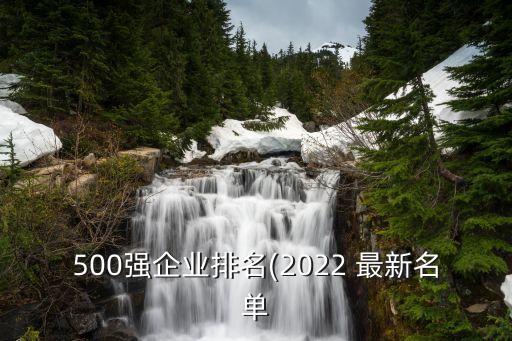 500強企業排名(2022 最新名單