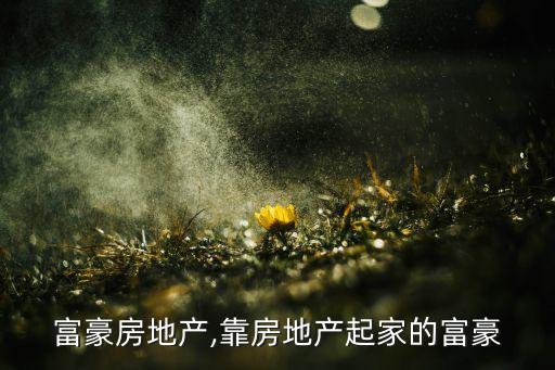 中國富豪房地產,靠房地產起家的富豪