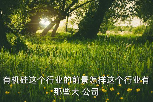 有機硅這個行業的前景怎樣這個行業有那些大 公司