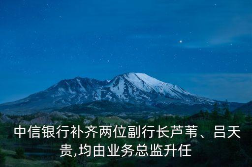  中信銀行補齊兩位副行長蘆葦、呂天貴,均由業務總監升任