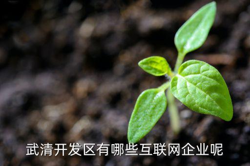 武清開發區有哪些互聯網企業呢