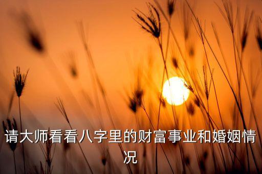 請大師看看八字里的財富事業和婚姻情況