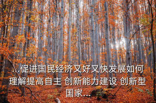...促進國民經濟又好又快發展如何理解提高自主 創新能力建設 創新型國家...