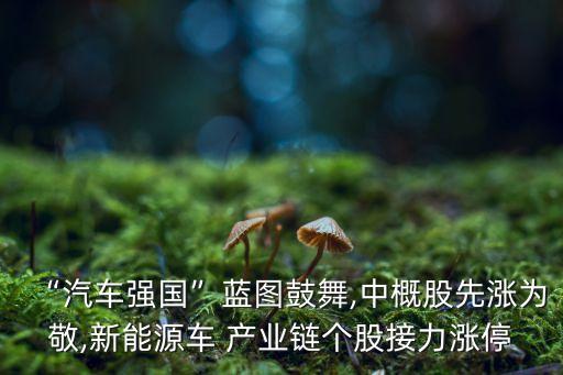 成都產業基金,成都高新區產業基金