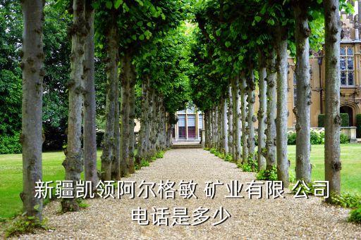 有新疆的礦業公司轉讓的沒