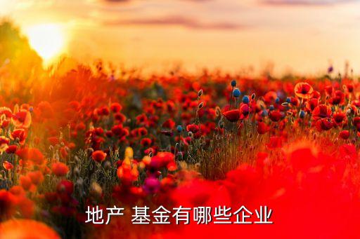 地產 基金有哪些企業