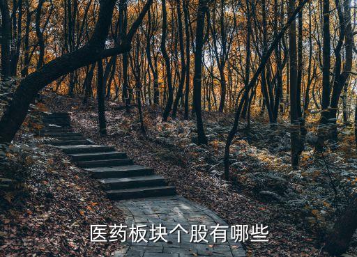 醫藥板塊個股有哪些