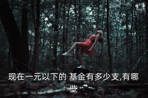 現在一元以下的 基金有多少支,有哪些