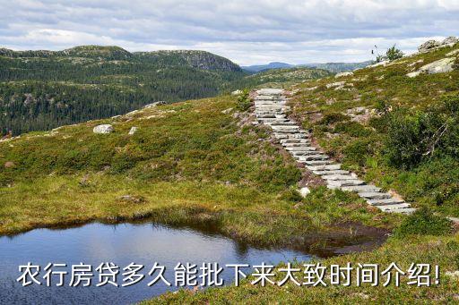 農業銀行放貸幾天到賬