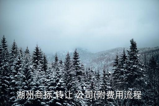 湖州商標 轉讓 公司(附費用流程