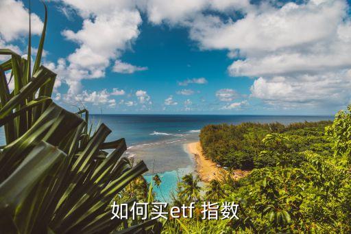 香港的指數基金怎么買,香港創業板指數基金有哪些