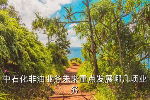 中石化非油業務未來重點發展哪幾項業務