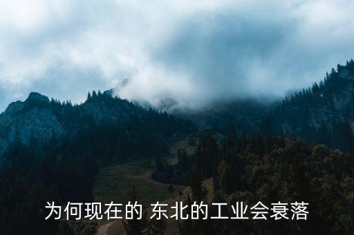 東北企業投資環境不行,為什么東北投資環境惡劣