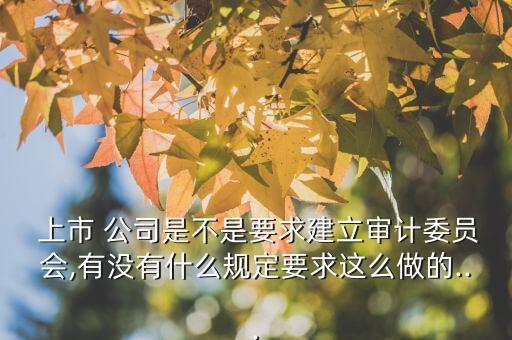  上市 公司是不是要求建立審計委員會,有沒有什么規定要求這么做的...