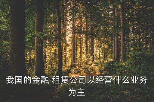 我國的金融 租賃公司以經營什么業務為主