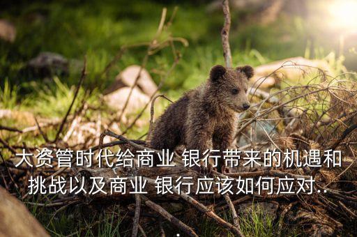 大資管時(shí)代給商業(yè) 銀行帶來的機(jī)遇和挑戰(zhàn)以及商業(yè) 銀行應(yīng)該如何應(yīng)對...