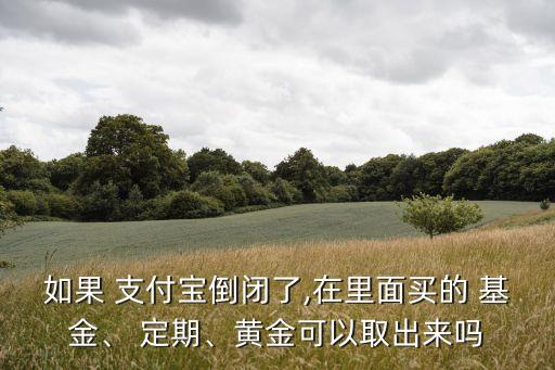 如果 支付寶倒閉了,在里面買的 基金、 定期、黃金可以取出來嗎