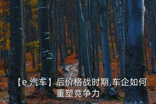 【e 汽車】后價格戰時期,車企如何重塑競爭力