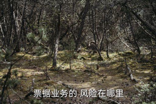 銀行票據貼現風險分析,銀行網點運營風險分析及措施