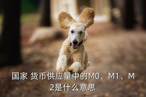 國(guó)家 貨幣供應(yīng)量中的M0、M1、M2是什么意思
